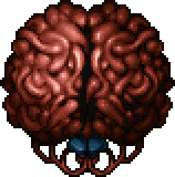 Brain Ship