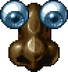 Nose of Zinglon in Nose Drip