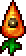 SuperCarrot